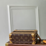 Louis Vuitton Handle Trunk Monogram M11118 Brown